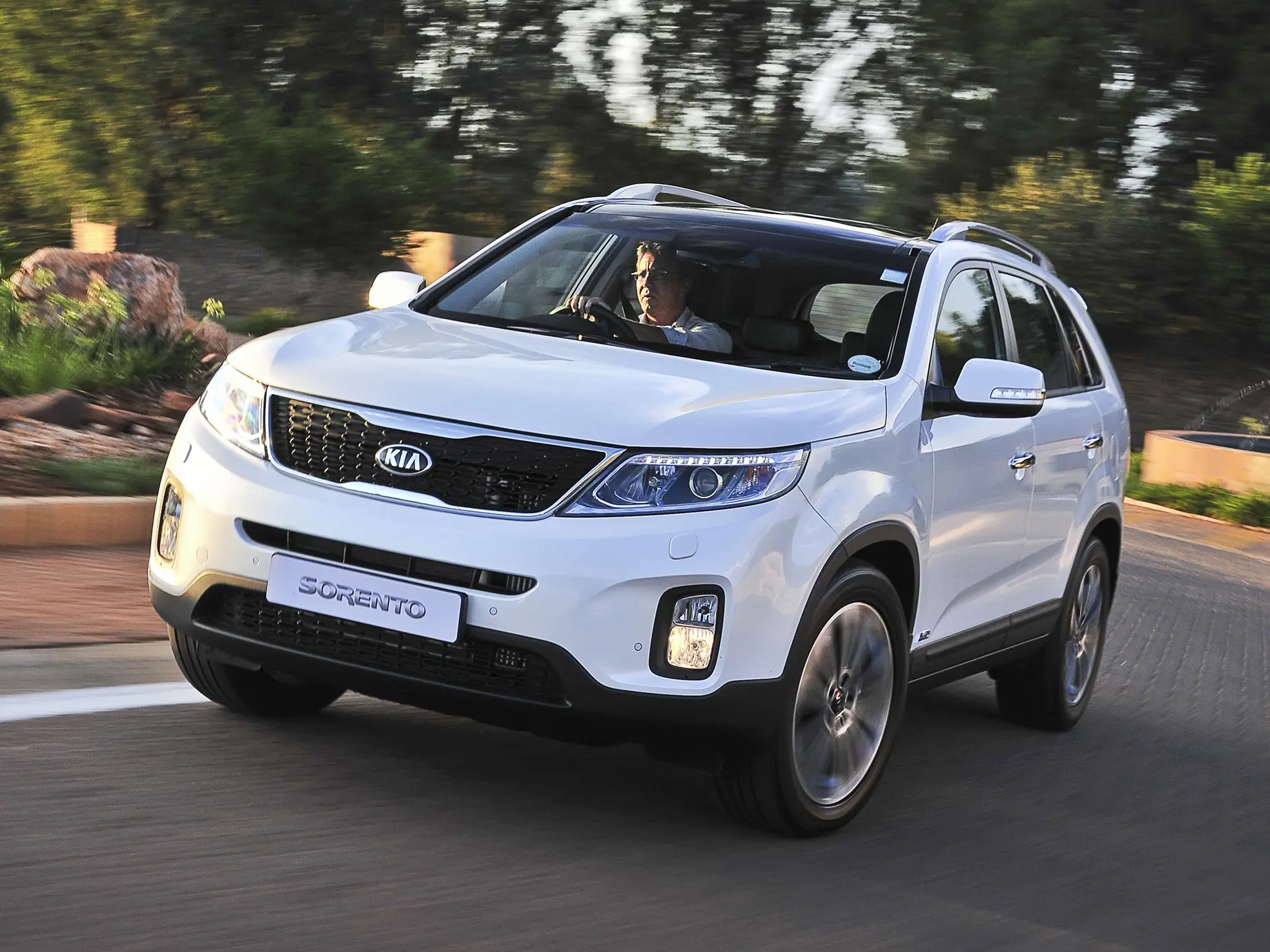 White Kia Sorento